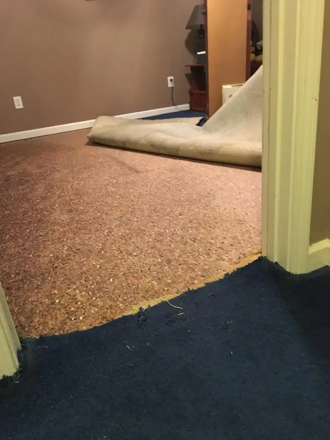Carpet pad removal revealing water damage during Water Mitigation Services in Manasquan